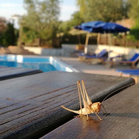 Agriturismo Cornieto Monteleone dʼOrvieto エクステリア 写真