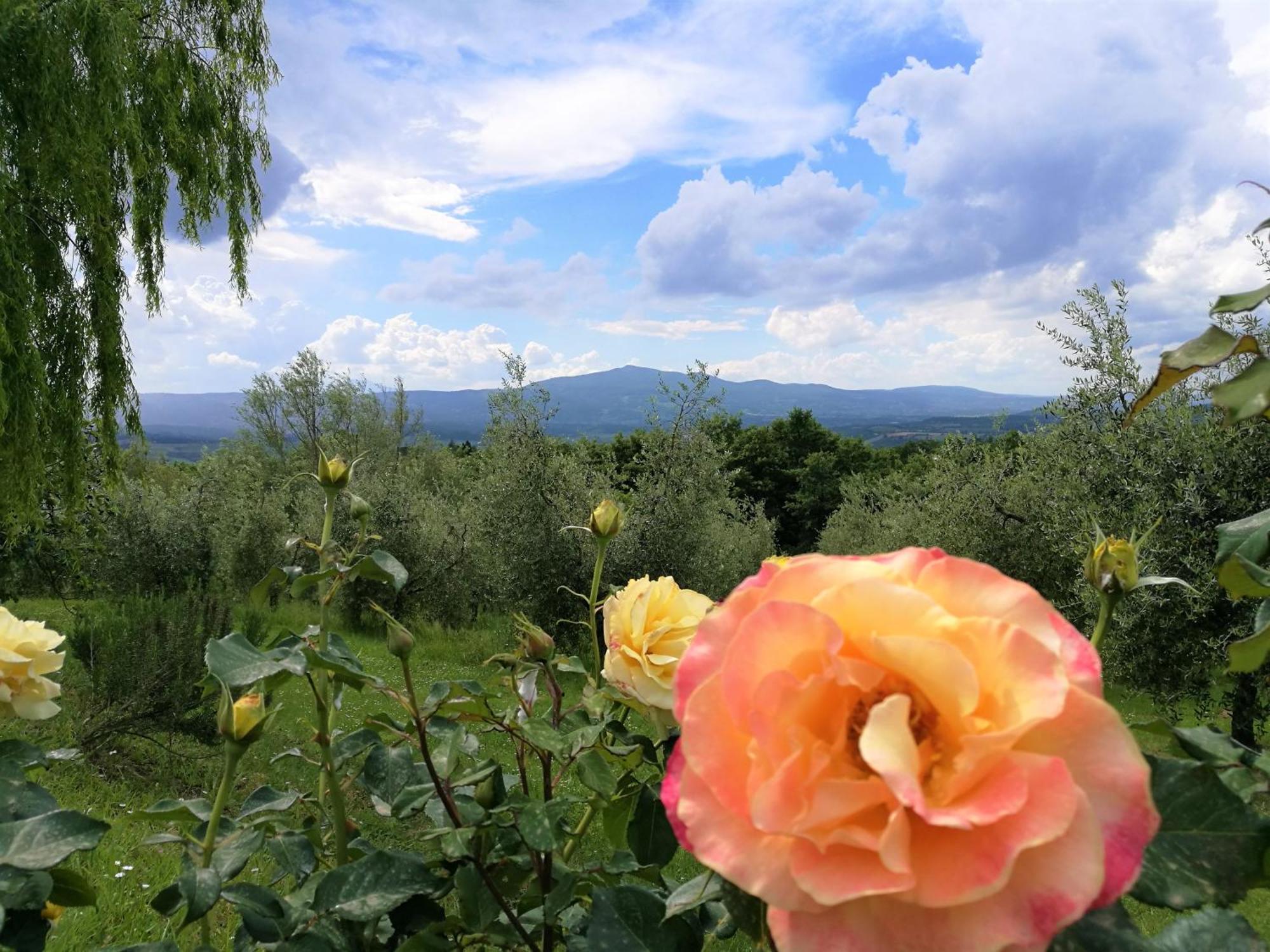 Agriturismo Cornieto Monteleone dʼOrvieto エクステリア 写真
