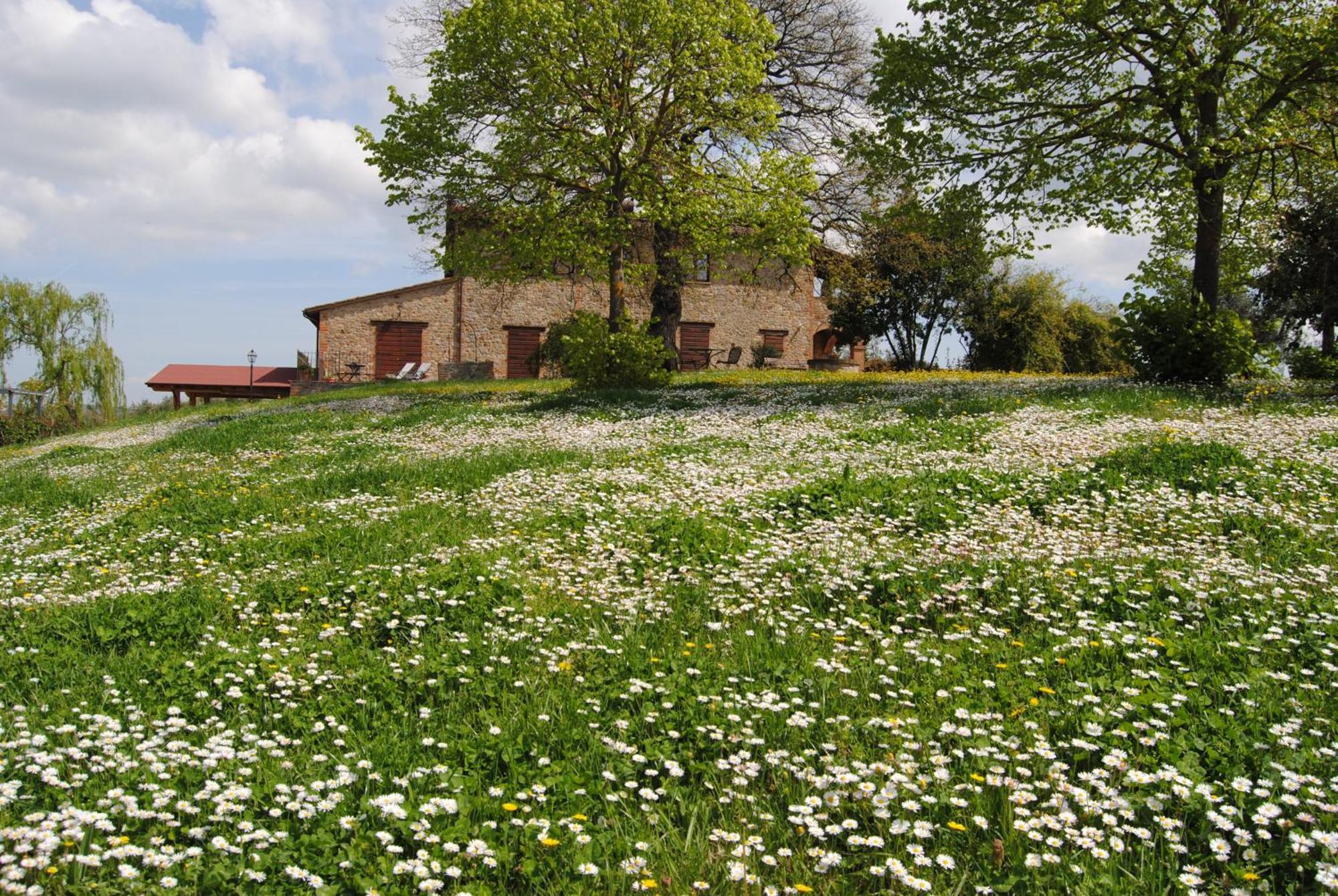 Agriturismo Cornieto Monteleone dʼOrvieto エクステリア 写真