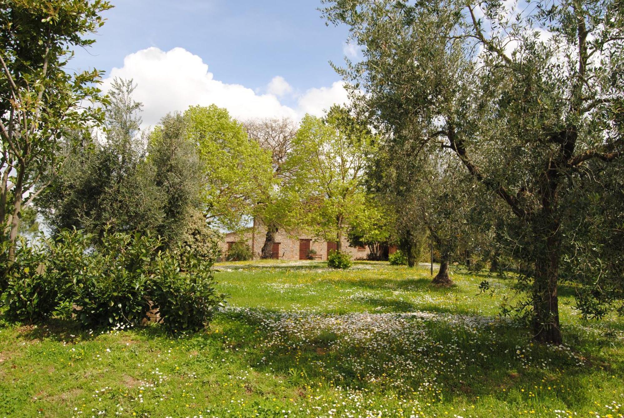 Agriturismo Cornieto Monteleone dʼOrvieto エクステリア 写真